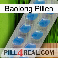 Baolong Pills 22